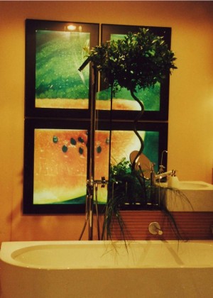 Bathroom (for Beyond the Hall Door TV Show)